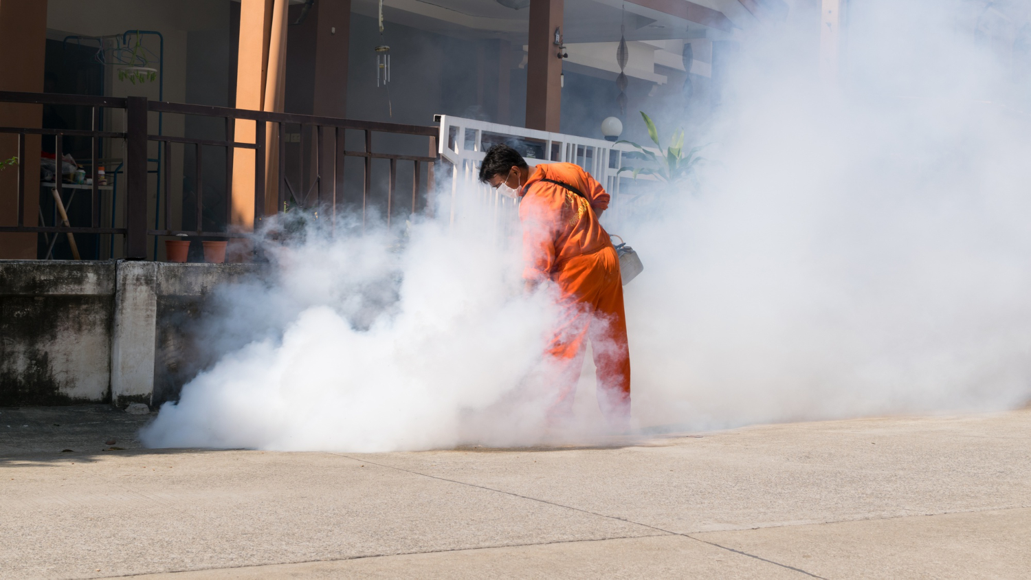 Опасность фумигации квартиры